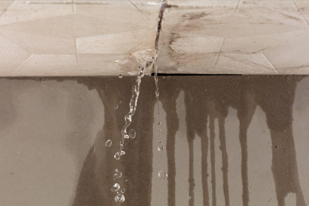 Professional Water Damage Repair technician working in Concord, GA